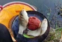 与其纠结怎么去调漂，还不如学会这样选择好钓点