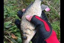 冬季钓鱼什么最重要