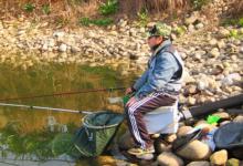 冬天到了，鲫鱼更难钓？那是你没试过这3招