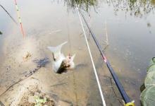 能钓多少鱼，并不是靠饵料、小药和打窝