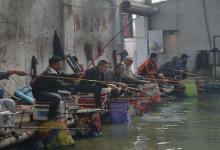 早看完这套垂钓心得，对你冬钓黑坑帮助很大