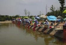 这是黑坑钓鲤鱼的配饵公式，只需一个量杯