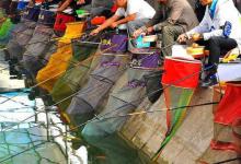 晚秋如何钓好黑坑混养，首先这几点你就要改变