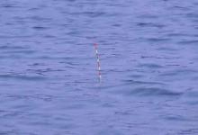 野钓调漂第一原则，钓大守钝，钓小调灵