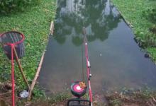 深秋冬初这几种天气不要出钓，渔获肯定很少