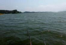 刮风到底适不适合钓鱼，按照这两个规律，什么风向都不影响