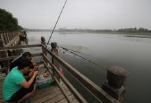 自然水域钓鱼应该收费吗