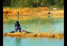 深秋钓鱼：5个地方是钓鱼高手的最爱