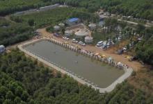 黑坑鱼情直接关系渔获量