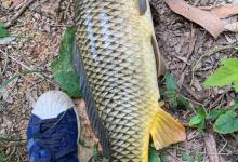 野钓留窝的四个关键点，做对了不担心闹窝