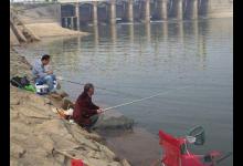 降温当天到底能不能钓鱼，这事还真得分情况