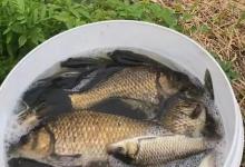 把握目标鱼节奏，不同季节钓不同鱼，做到经常爆护