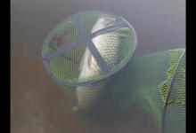 进入深秋，老钓手都喜欢选这三种钓位，容易出大板鲫