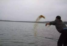 湖库守钓，为什么说不要玉米打窝玉米钓