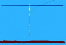 野钓既能打快鱼，也能守慢口，调平钓二目