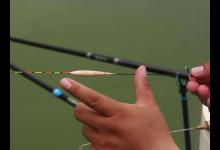 野钓不要太纠结调目和钓目，差别其实没有那么大