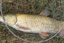 秋季夜钓，老钓友的这几个实战技巧，轻松助你渔获翻倍