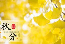 一场秋雨一场寒，秋分过后，钓深还是钓浅