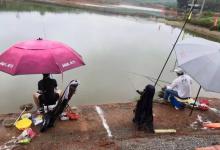 静养和精养收费差不多，渔获差异好几倍