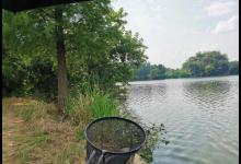 都说大降温不适合钓鱼，有人却在偷偷发财，实战才是王道