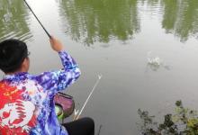 野钓鲫鱼，由浅水管换到深水，调漂你得这么做！