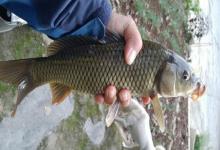 秋季湖库钓鱼，掌握这6心得，多半能钓到鱼