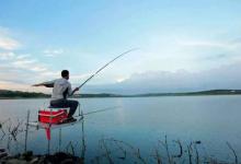 鳊鱼草鱼正是狂口时，武汉这些钓点和钓法，让你不走空