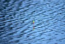 学会调二钓二，漂动提竿，竿竿都是实口