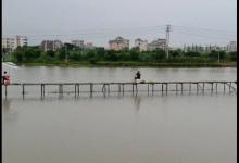 钓黑坑4大错觉，只要占2个就难上