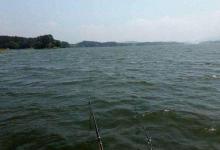 钓目升一目，中鱼率翻一倍，带饵调漂渔获多