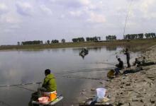 一提冬钓，我只喜欢用这方法对付鲫鱼