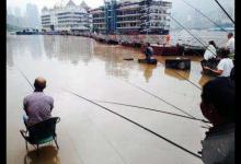 涨水一定有鱼口？这么说的，一定是没钓过这几种水情