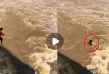 夏季雨季，面对四处游荡的野味，万不可麻痹大意