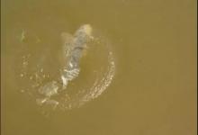 钓目必须露出水面？不，负目钓浮还真不需要钓目露出水面