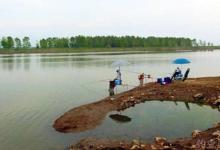 立秋前后，万万不可忽视这种鳊鱼钓法