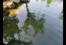 都说刷白条容易，不注意这些细节一样白搭