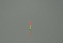 带钩调平水钓两目，钩饵在水底会呈现什么状态