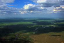 黑龙江最凶猛的鱼，号称水中饿狗