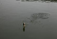 子线易切，多半不是中钩鱼太大,有下面这些原因