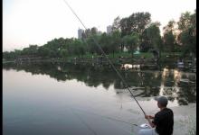 为什么你钓浮不上鱼吗？老钓友全面解析钓浮的三大技巧