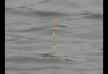 虽说调漂是门大学问，但初中物理课讲到的浮力知识就能解答