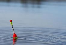 野外垂钓到底该怎样调漂