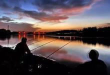 盛夏夜钓鲤鱼，这些注意事项能到位，想要空竿都难