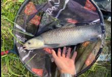 粗钩大线也未必靠谱！遛大鱼你不可不知的2个重要技巧