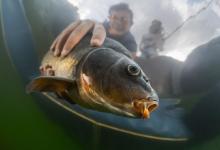 用对技巧就能黑坑上岸！具备关键因素才可以