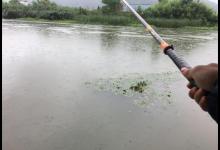 下完大雨河水暴涨，这些地方鱼最多，老钓友都抢着坐