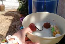 想知道钩饵在水底是什么状态吗