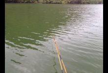 分享走水情况下，如何更好地使用跑铅钓法