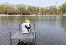 黑坑偷驴时，前一秒还空军，下一秒却连杆上鱼