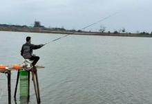 野钓想要上鱼快，钓饵到底应该放在哪